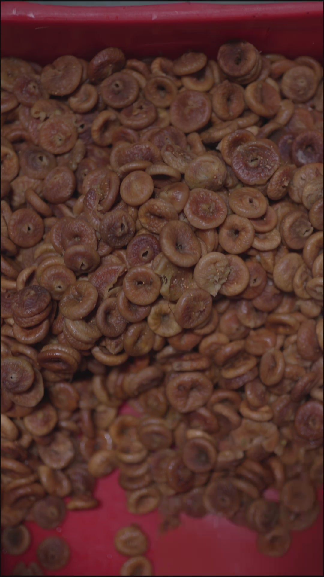 Anjeer Pak (Bites) – Healthy Indian Sweets | Made with Pure Figs & Nuts | No Added Sugar | Naturally Sweetened | Ideal for Festivals & Gifting